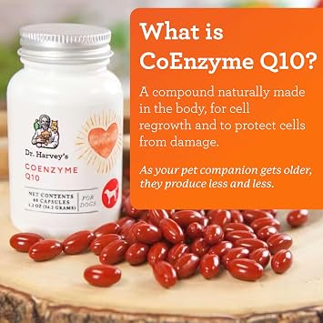 Dr. Harvey's Coenzyme Q10 Heart & Cardiovascular Supplement for Dogs