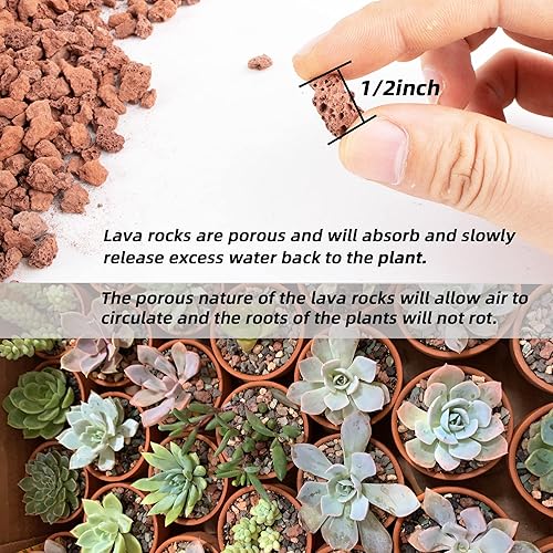 Miniatura 3 de Rocas de lava roja de 1.5 libras para plantas, paisajismo decorativo, gránulos de roca de lava de 12 pulgada, aderezo superior para cactus,