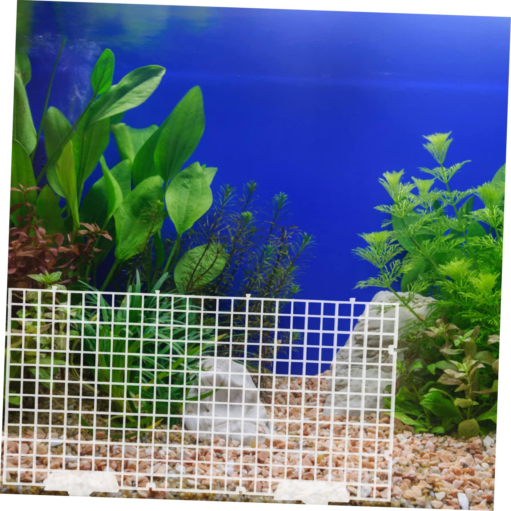 BESPORTBLE 3 Juegos Placa de Aislamiento de Tanque de Peces pecera de plastico Bandeja divisoria de Rejilla de plástico Placa de separación de plástico Placas filtrantes Acuario