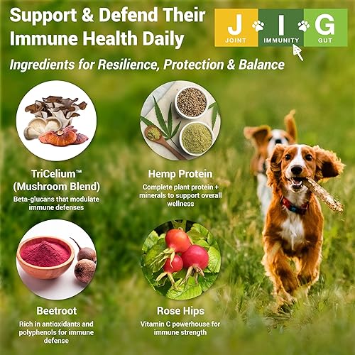 Miniatura 4 de MariGold JIG para perros  Polvo de apoyo para articulaciones inmunidad y intestinal sin OMG cacahuetes orgánicos cáñamo orgánico sin granos ni soja