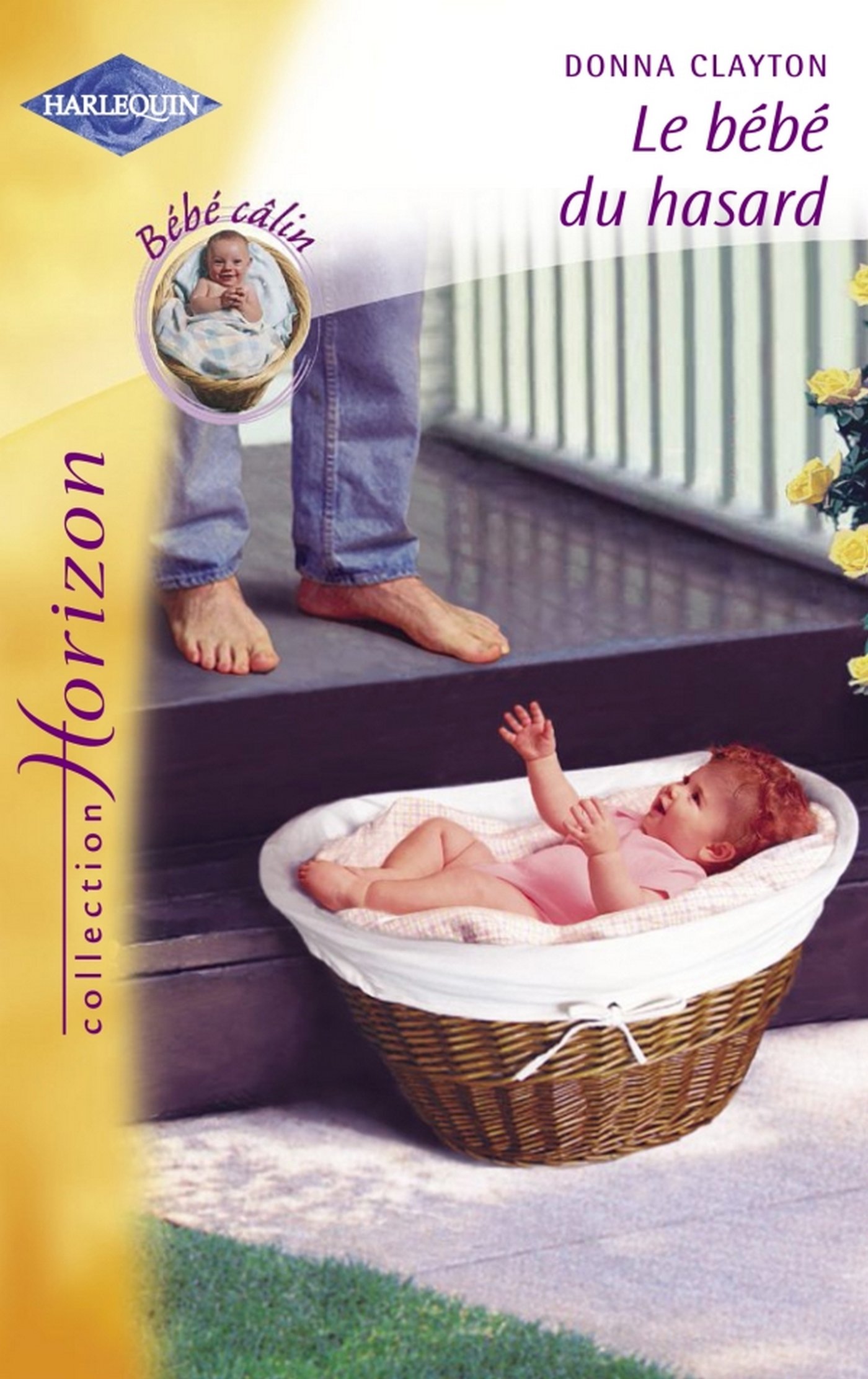 Le bébé du hasard (Harlequin Horizon) (French Edition)