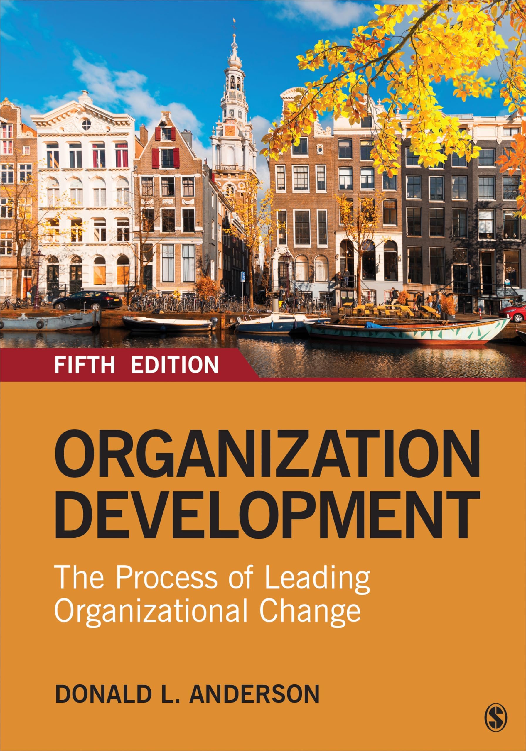 Organization Development: The Process of Leading Organizational Change 5th Edition