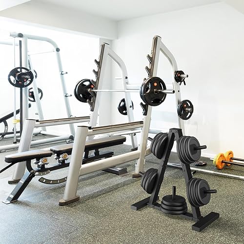 Miniatura 4 de Estante para platos de peso, árbol de pesas, soporte para placas de peso, soporte de almacenamiento de gimnasio en casa de 1 pulgada, soporta 300