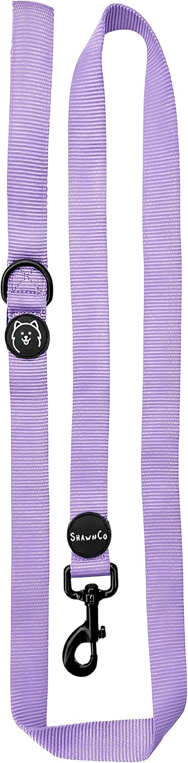 ShawnCo Dream Walk Dog Leash- Premium, Nylon Pet Leash with Soft Neoprene Handle for Small, Medium and Large Dogs (ICY Lilac, Medium/Large)