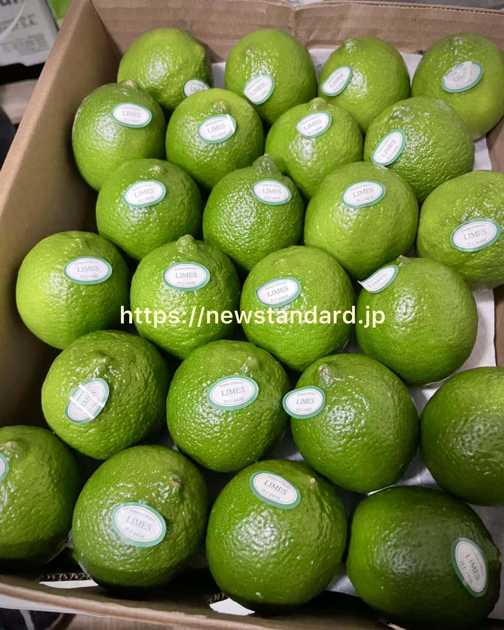 Amazon.co.jp: 【直輸入品】メキシコ産ライム 約5kg (玉40 or 44玉