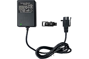 FLHFULIHUA 12 Volt Charger for Kids Power Wheels
