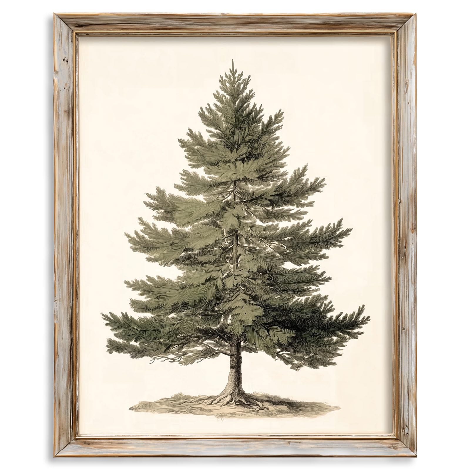 Vintage Pine Tree Print Rustic Botanical Winter Wall Art Holiday Christmas Seasonal D cor Unframed Fine Art Poster