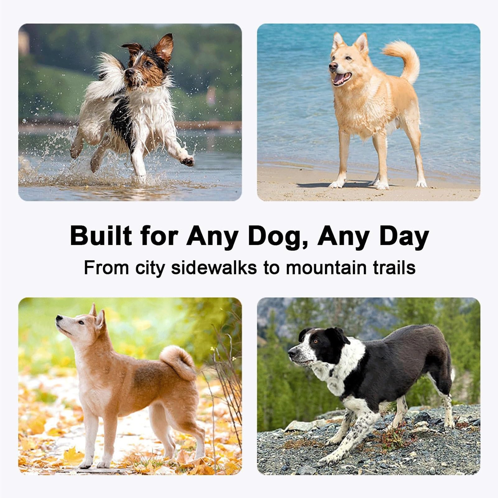 Arnés Antitirones para Perros, Ajustable En Pecho Y Espalda, con Tiras Reflectantes, Transpirable | Adecuado para El Adiestramiento Y Paseo De Perros Pequeños Y Medianos(Blue,S)
