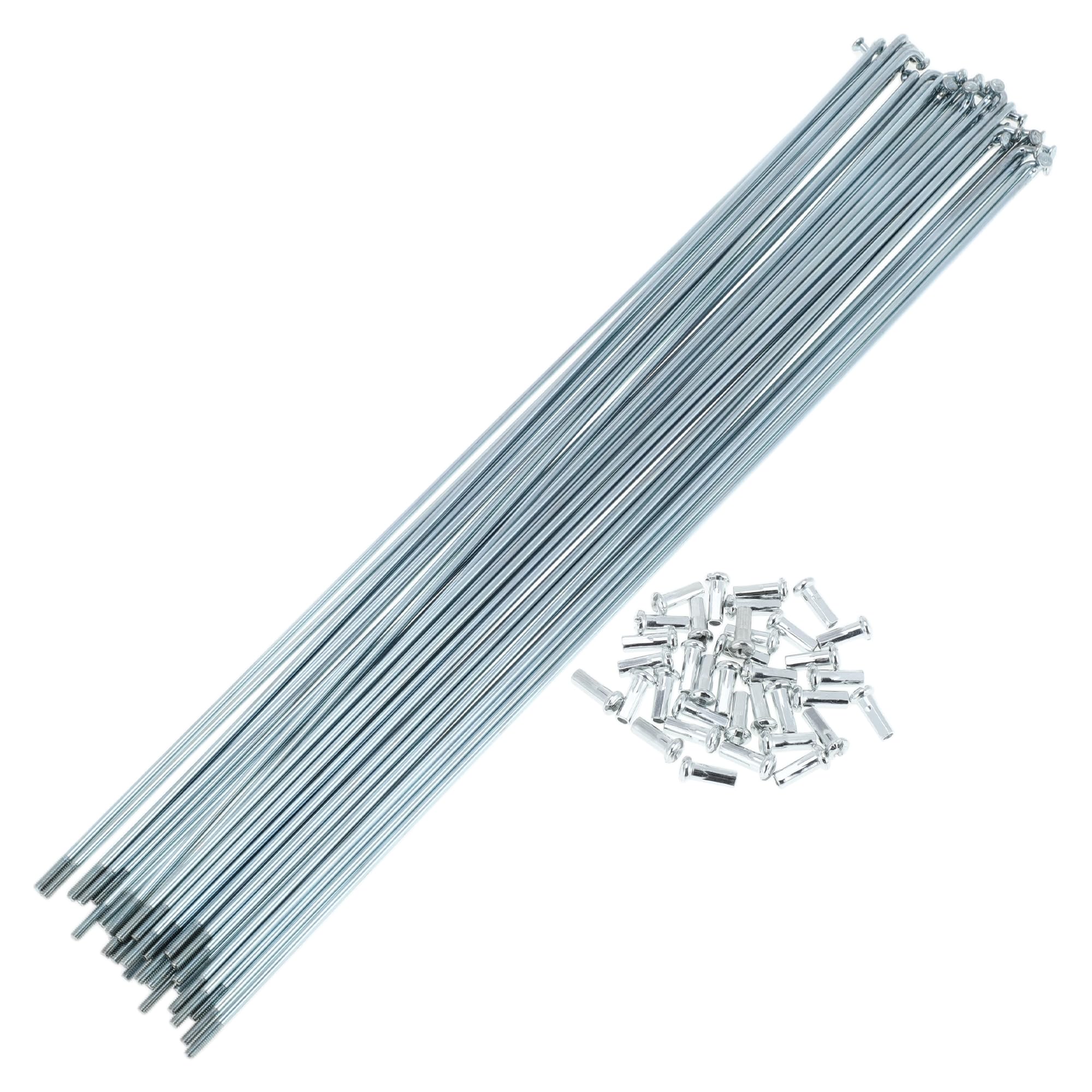 Raggi per Bicicletta 13G, Raggi per Ruota di Bicicletta, Nippli Color Argento, 1 Set, Acciaio Zincato 45