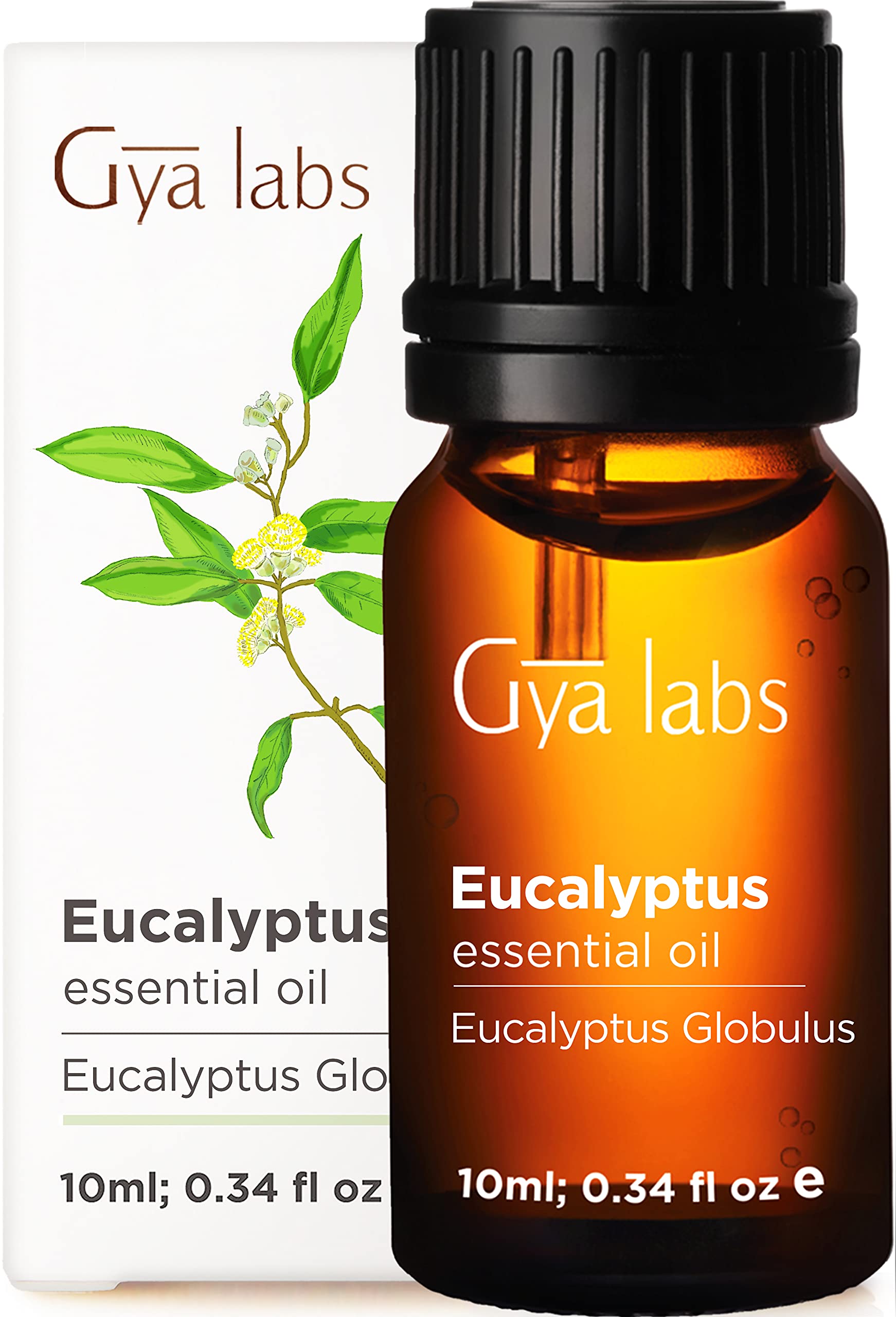 Gya Labs Eucalyptus Essential Oil for Better Health & Breathing (10ml