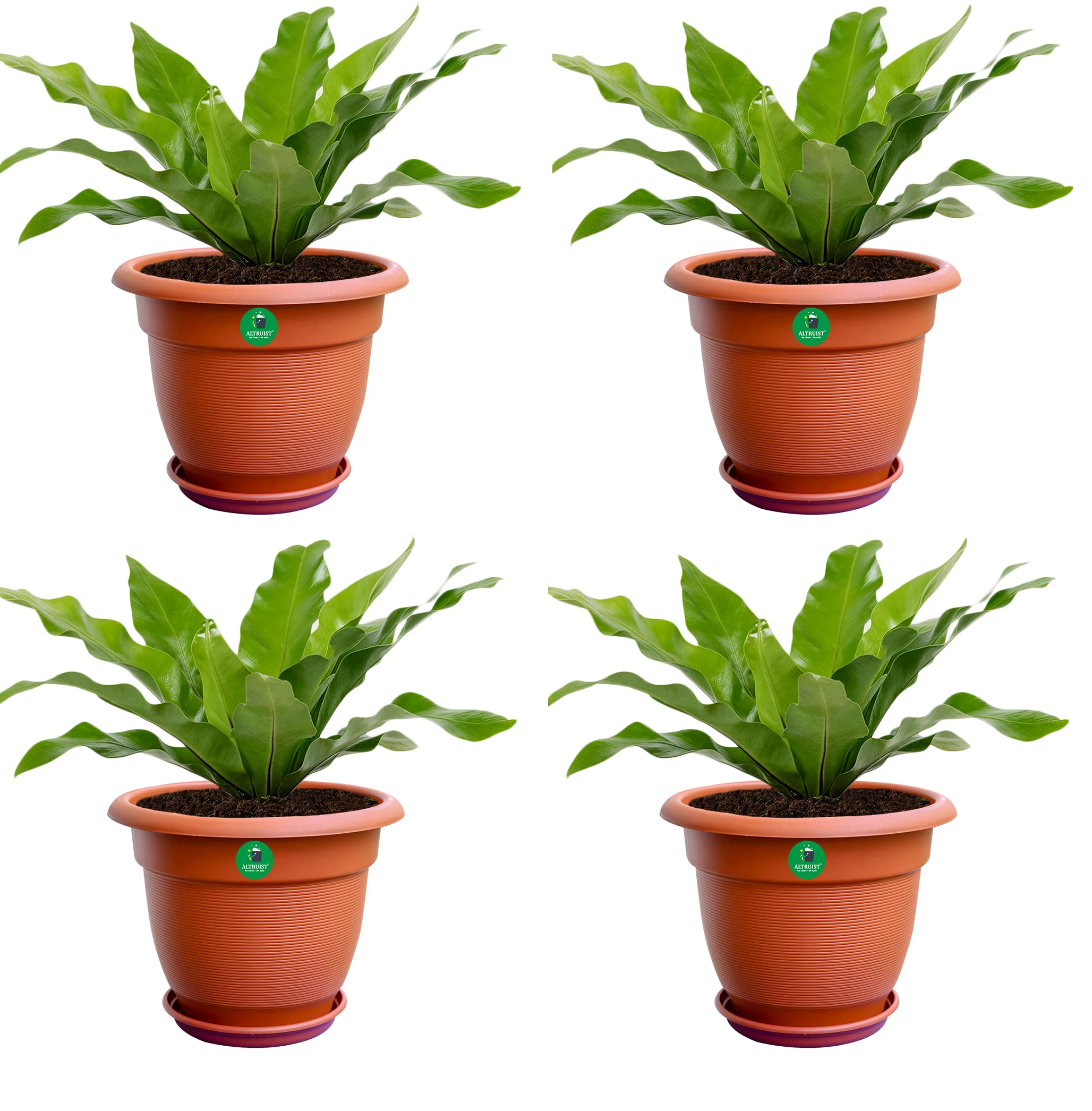 ALTRUIST Plastic Planter Pots with Bottom Tray Plastic Round Pot with Bottom Plate Tray Flower Pot for Home Garden and Decorative Pot (Size 14") (Set of 4) (B09QHNZY3D) Amazon Price History, Amazon Price Tracker