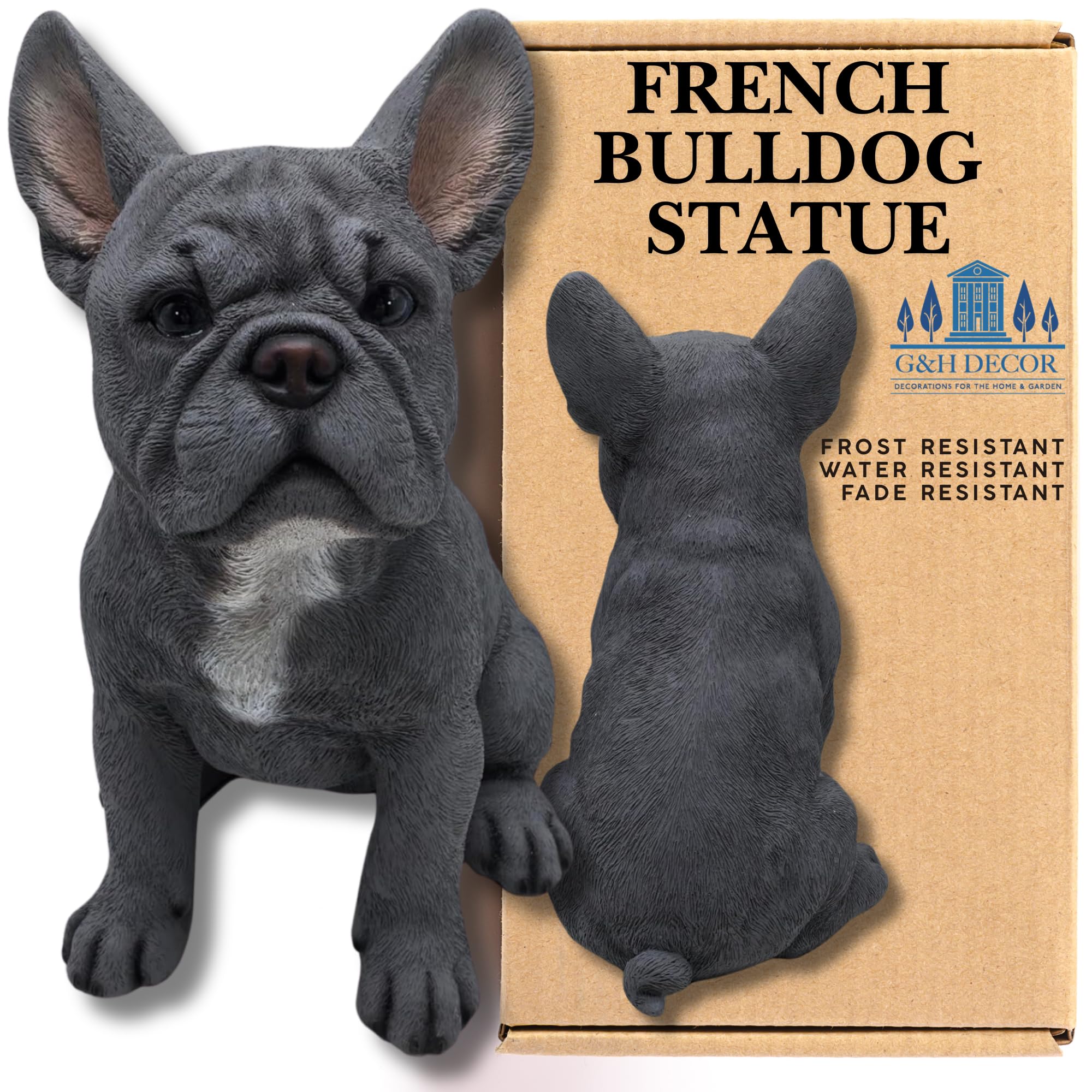 G&H Decor Realistic French Bulldog Statue - Hand Painted 30cm Dog Figurine - Intricate Detail Dog Ornaments for Outdoor or Indoor Use - Frost and Fade Resistant Gift