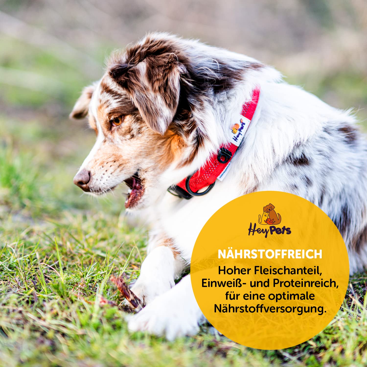 Hey Pets Snack Naturali Per Cuccioli - Bastoncini Di Manzo 100% Naturale Per Cura Denti E Allenamento - Foto 5