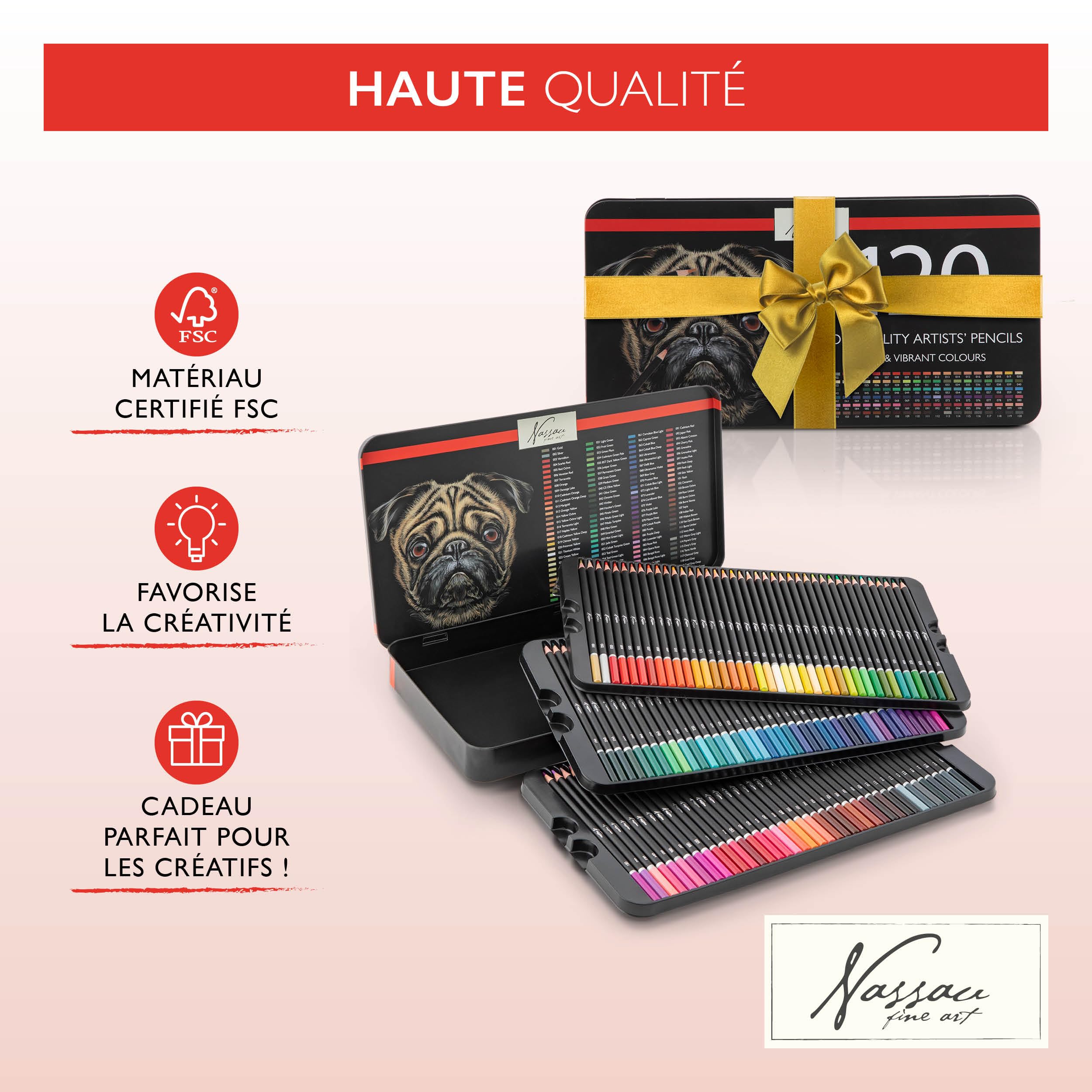 VAN NASSAU FINE ART Lot de 120 Crayons de Couleur Professionnels dans Une boîte de présentation en tôle | Crayons en Bois | Mines de Couleur de qualité supérieure | pour Enfants et Adultes