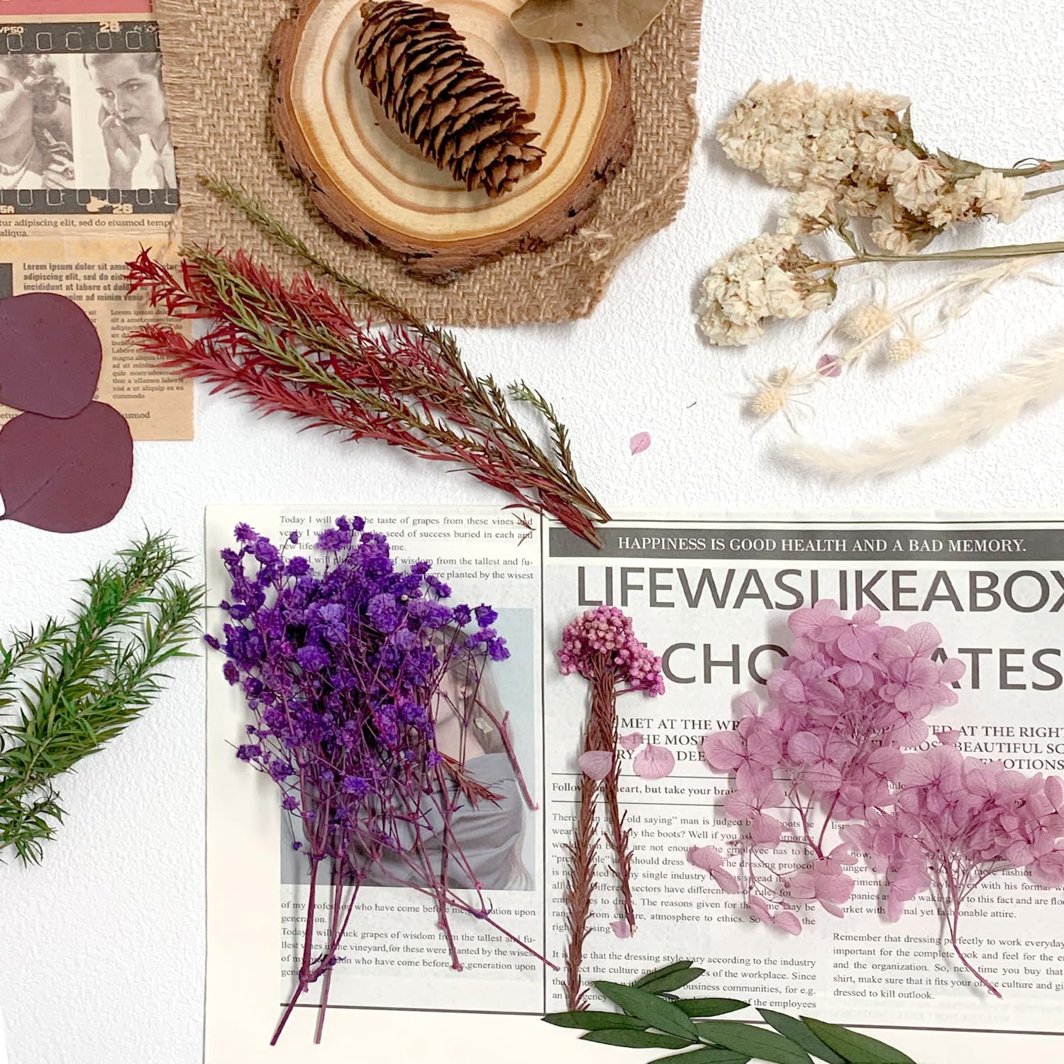 RUGBOL Dried Purple Lavender Flowers for Decoration Dried Flowers, Floral Decoration, Purple, 160 x 200 cm - Image 4