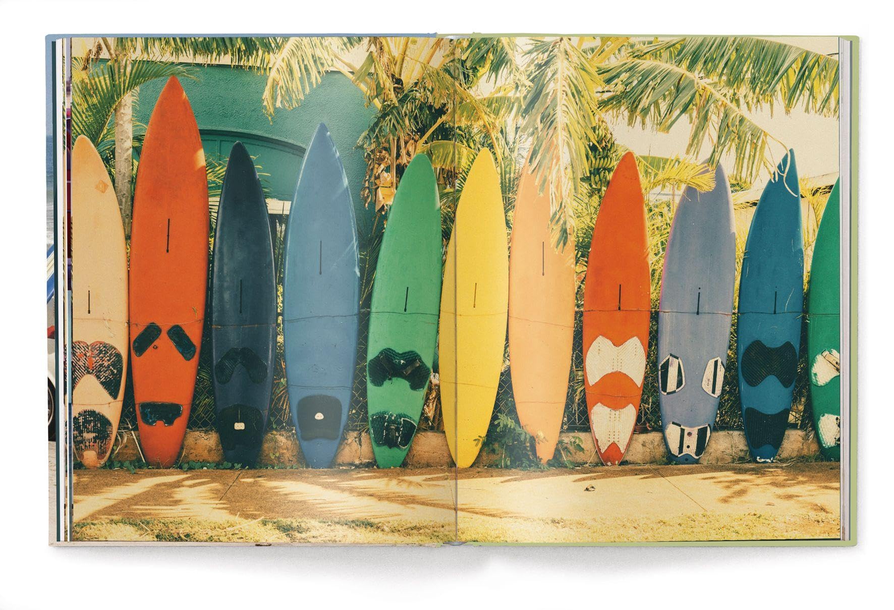 The Stylish Life: Surfing /anglais