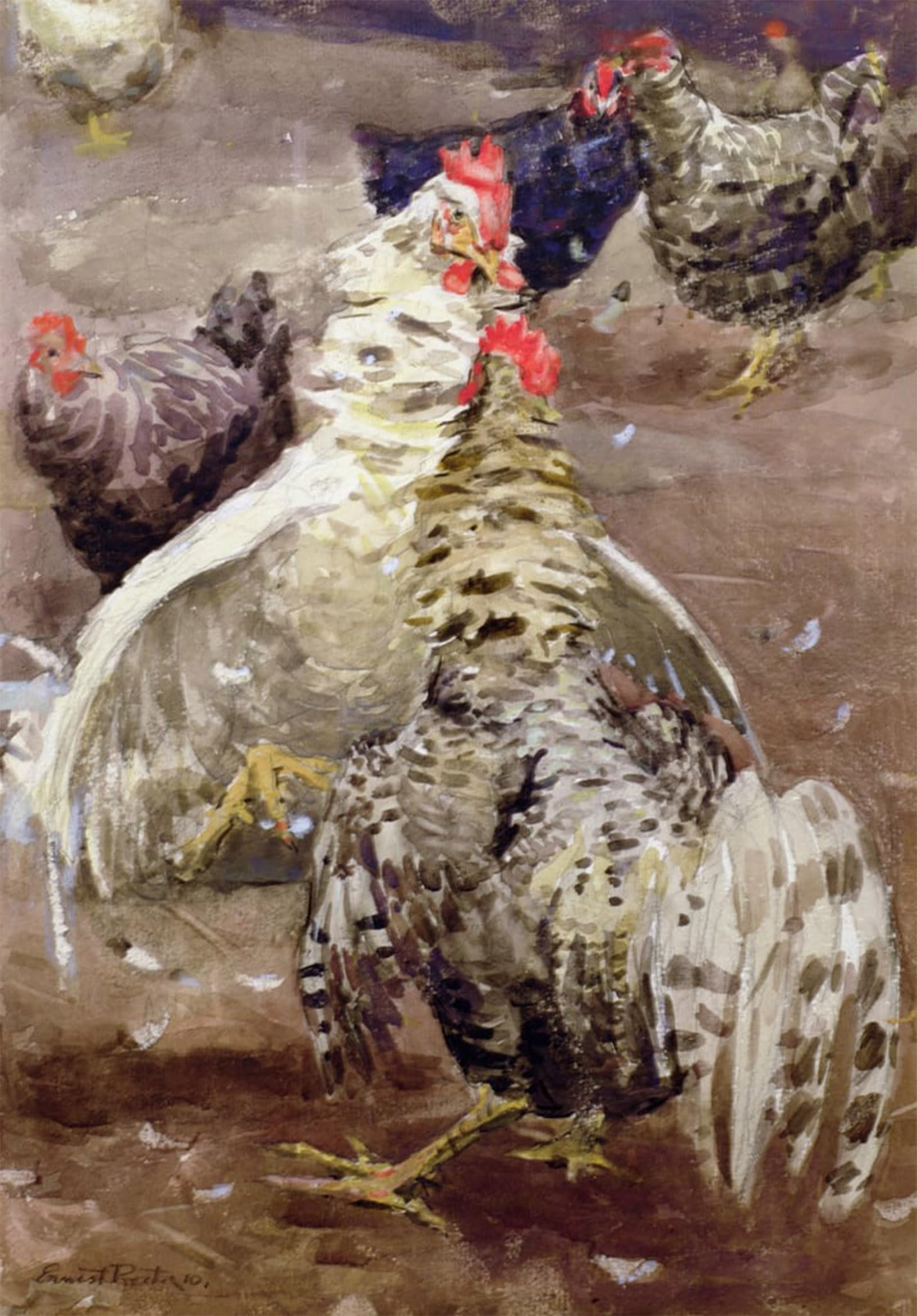 Posteriik No Frame Vintage Art Print Images Pictures Print Roosters By Ernest Procter Modern Colour Posters For Office Home Decor 60X90cm