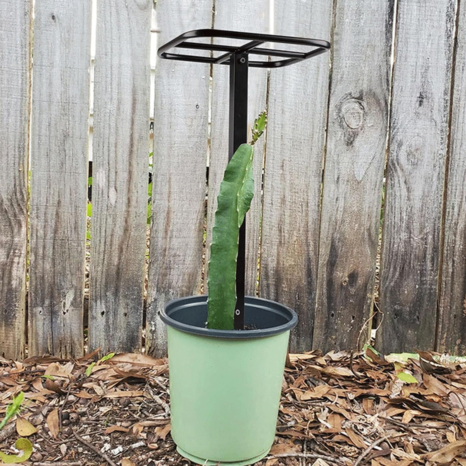 Zunate Struttura da Arrampicata per Giardinaggio Verticale |Supporto per Frutto del Drago con Acciaio Al Carbonio Resistente