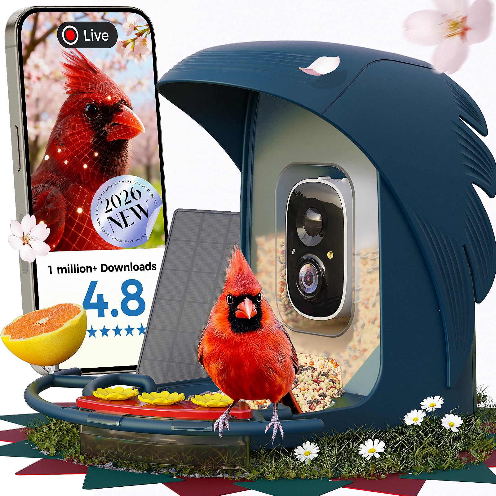 Comedero inteligente para pájaros con cámara, cámara de observación de aves alimentada por energía solar para exteriores, detección de movimiento de captura automática 2K HD con identificación