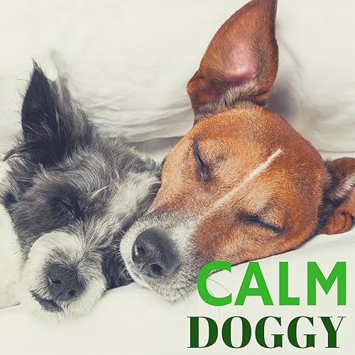sounds to calm a dog down