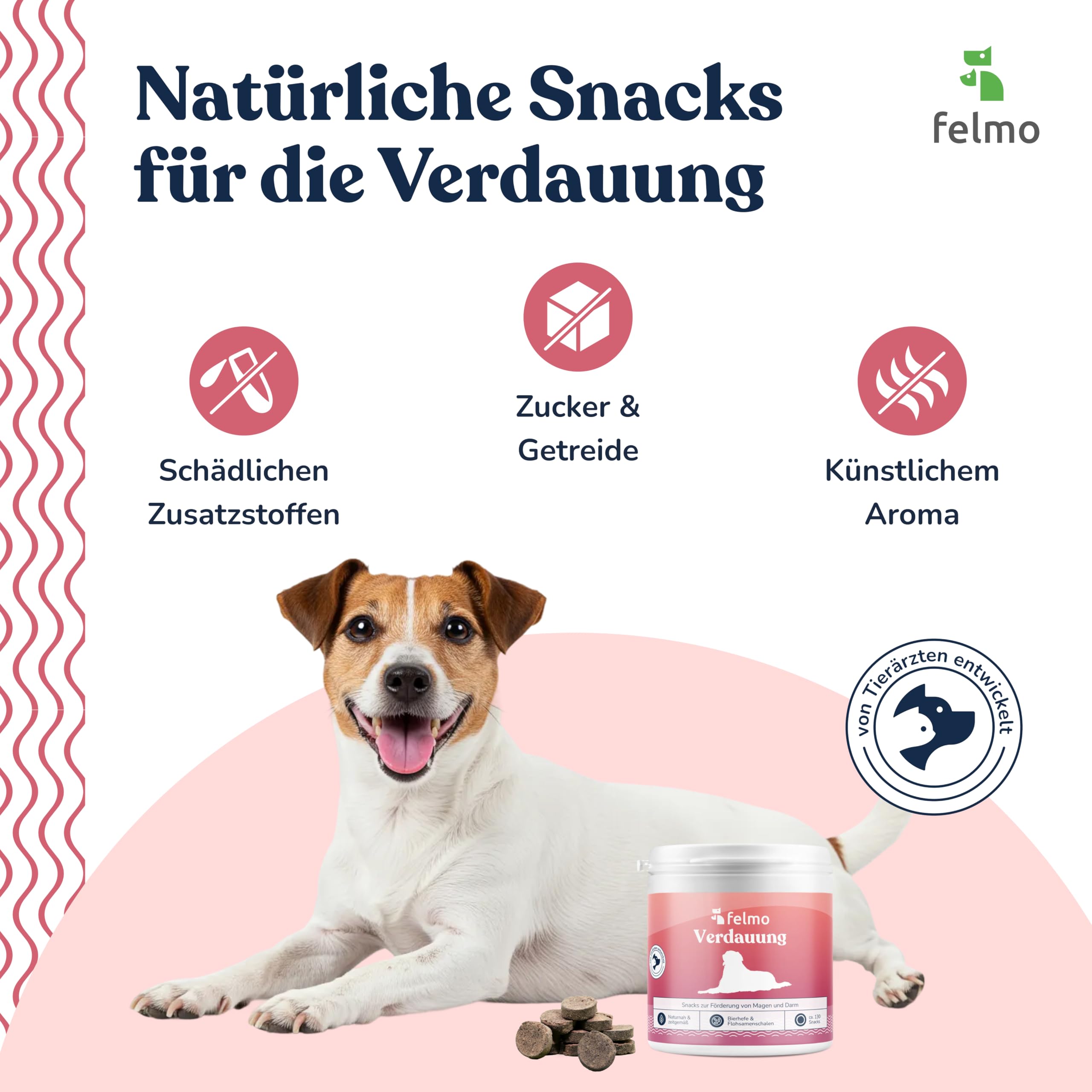 felmo Snack digestivo per cani (325 g) con lievito di birra e grasso completo per insetti | Snack prebiotici per l'equilibrio intestinale, la salute della pelle e dell'immunità, senza cereali, made in Germany