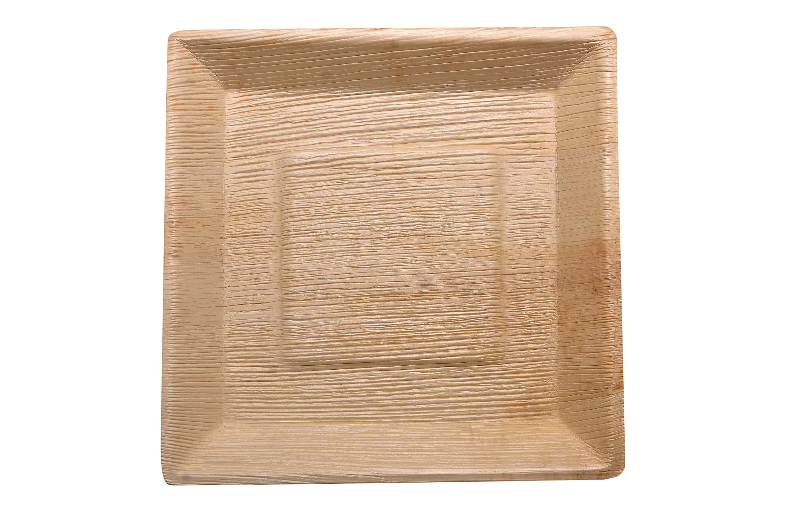 Somani Natural and Biodegradable Areca Leaf Disposable Square Plate (10 x 10 inches, Cream) -Pack of 25