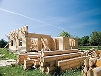 Vista 3 de Simpson Strong-Tie SDWS22400-4" x .220 Tornillos para madera (grado interior) 250ct