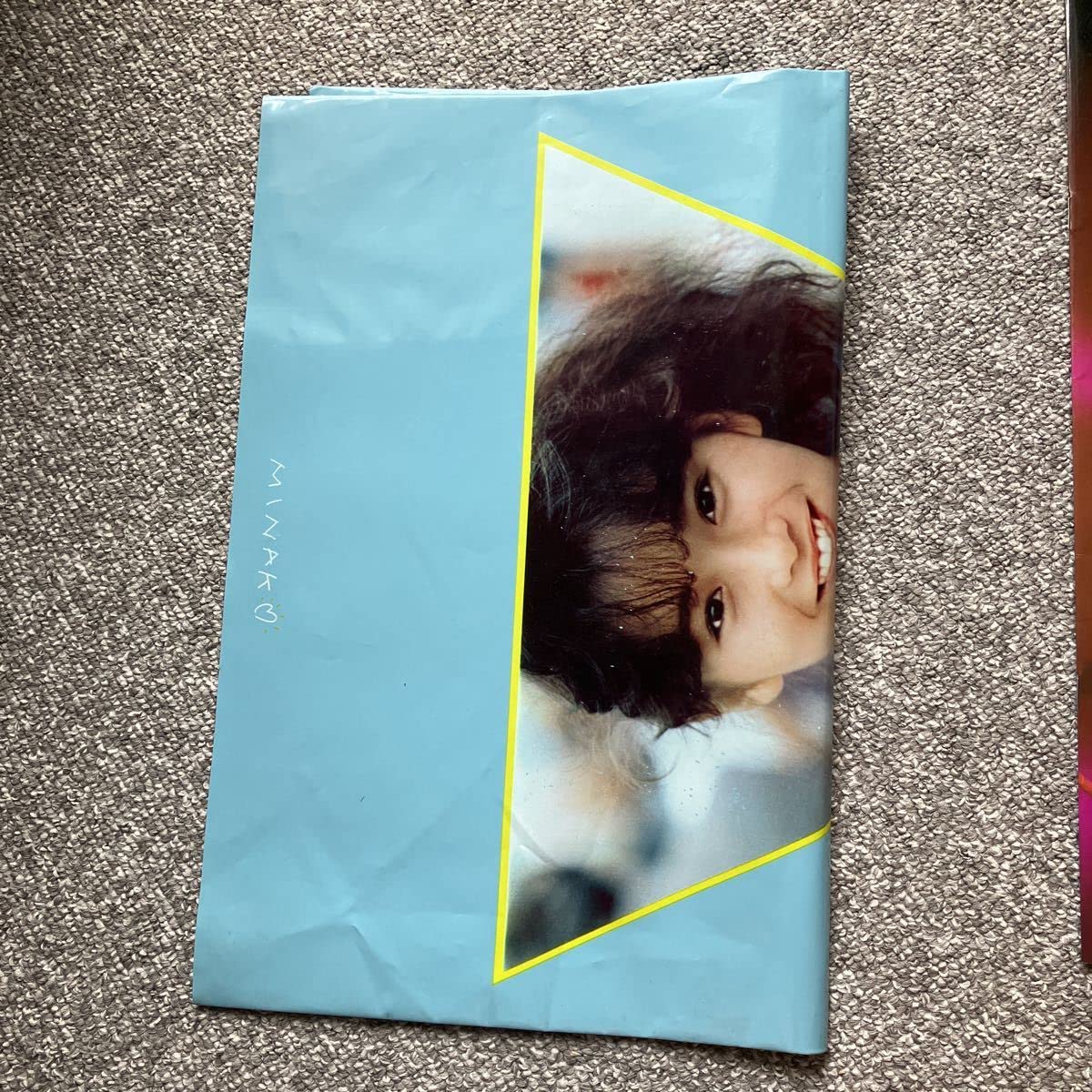 Amazon.co.jp: 本田美奈子 Rise up ツアーパンフレット おまけ:本田