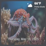 Acuario de pulpos con música de piano - Deep Ocean TV con reloj y pronóstico en vivo