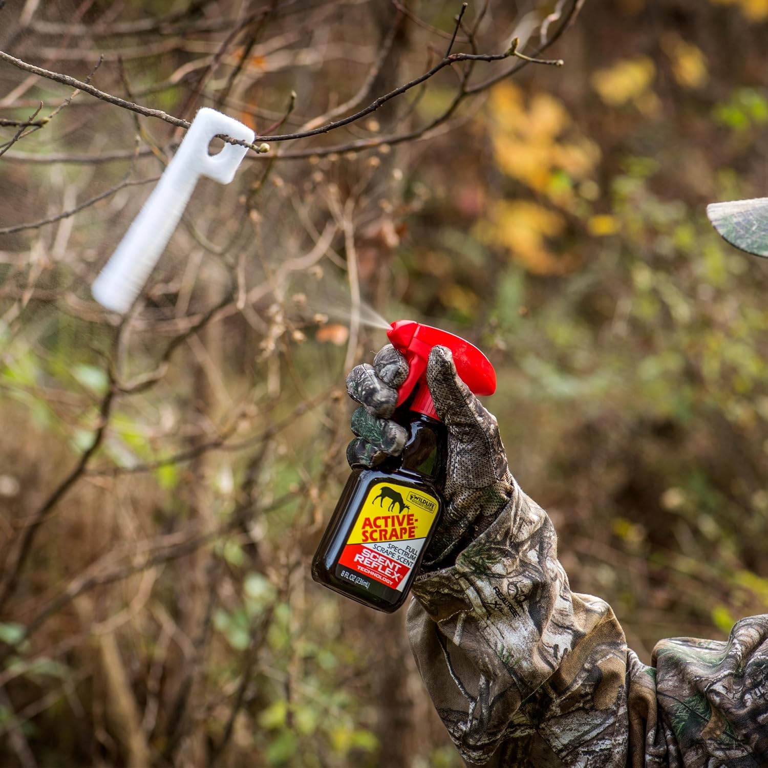 Wildlife Research Active Scrape
