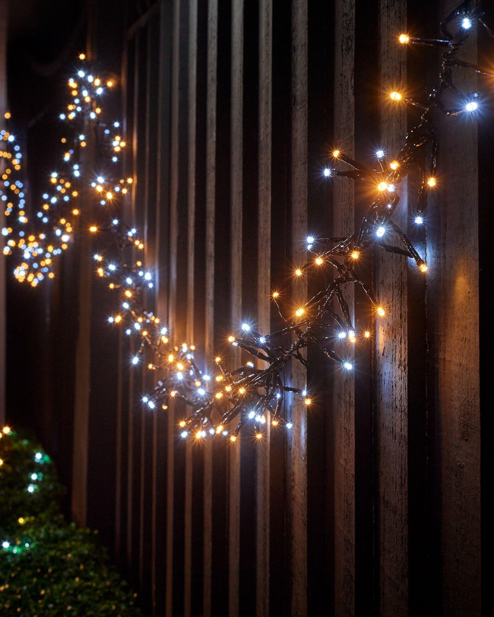WeRChristmas LED Cluster Lights, Black Cable
