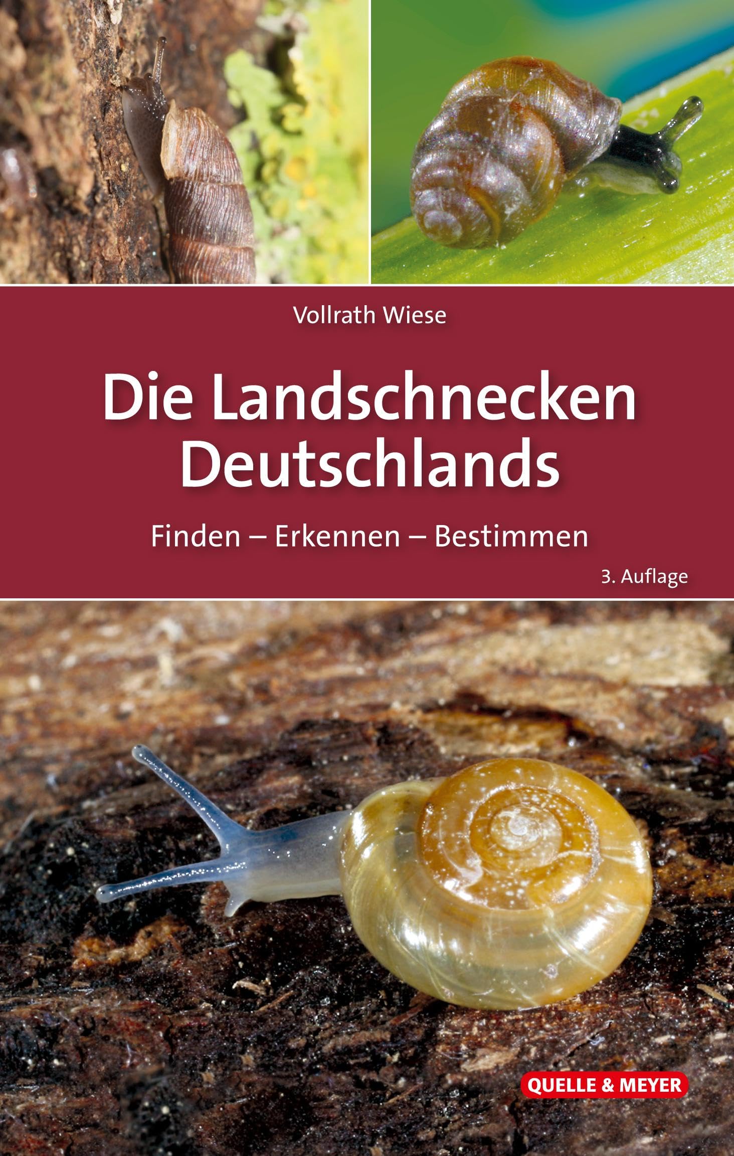 Die Landschnecken Deutschlands: Finden - Erkennen - Bestimmen