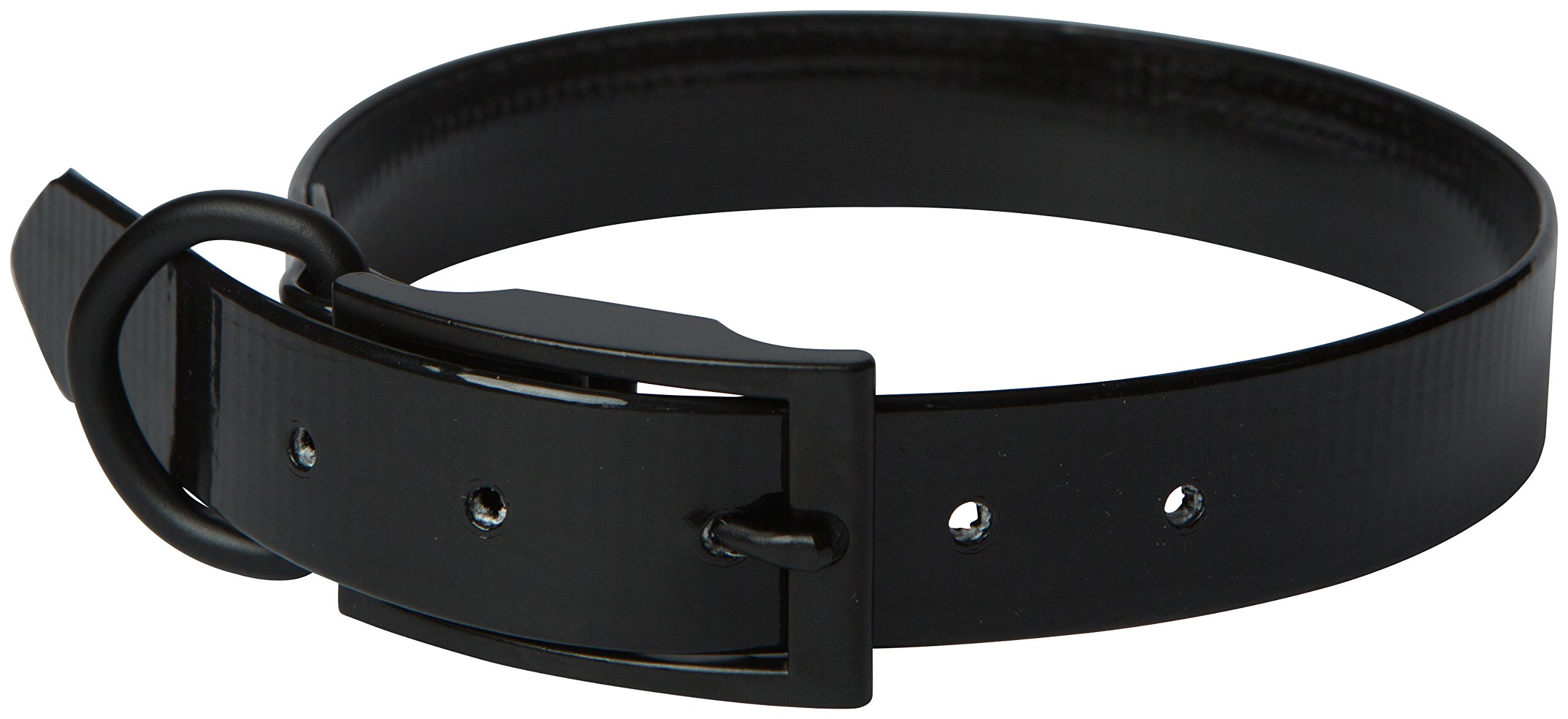 Collier de chien Sunglo Regular idéal pour les sorties nocturnes en forêt