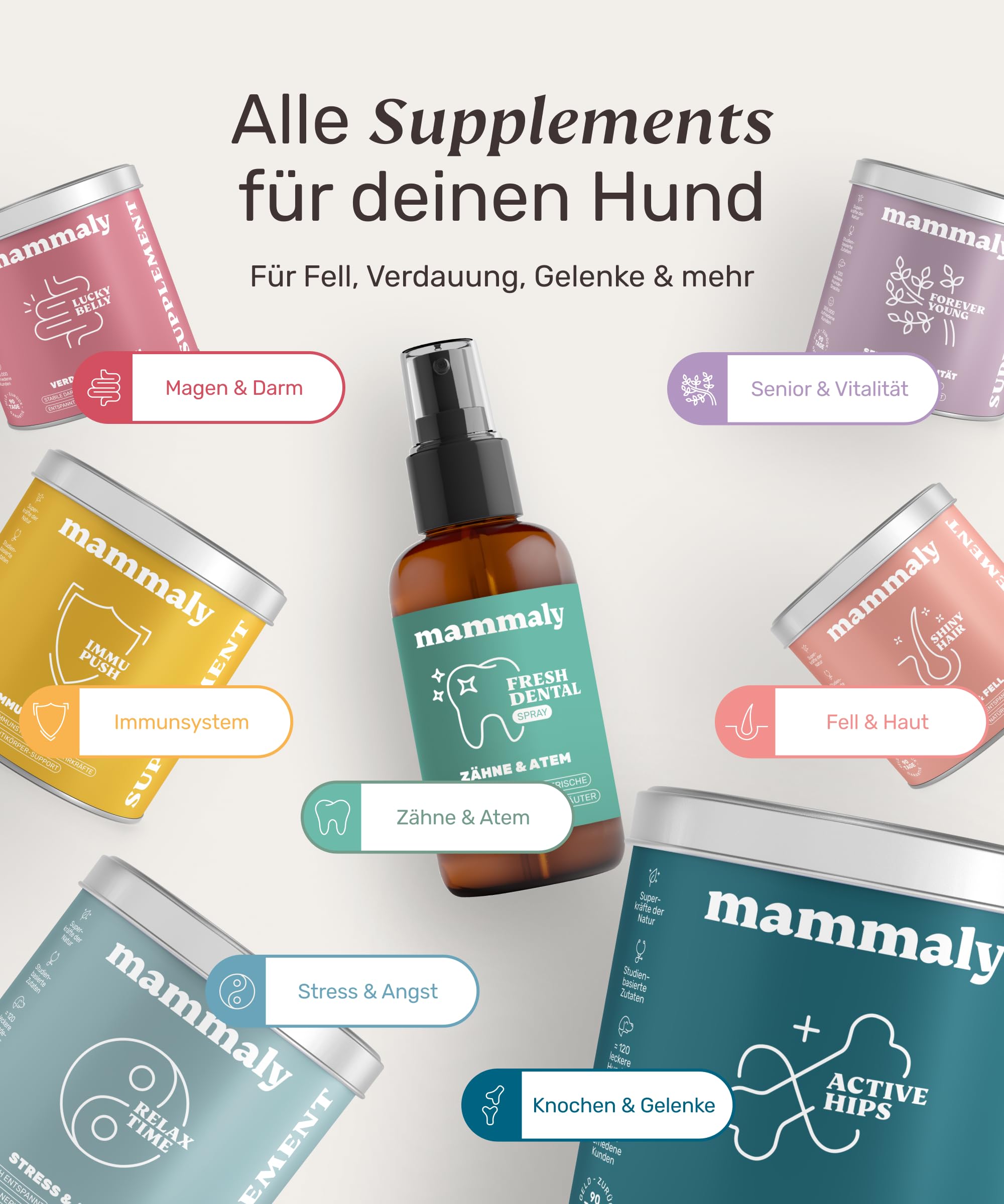 mammaly NEUHEIT 2026: Fresh Dental® Zahnpflege-Spray (bis 90+ Tage)