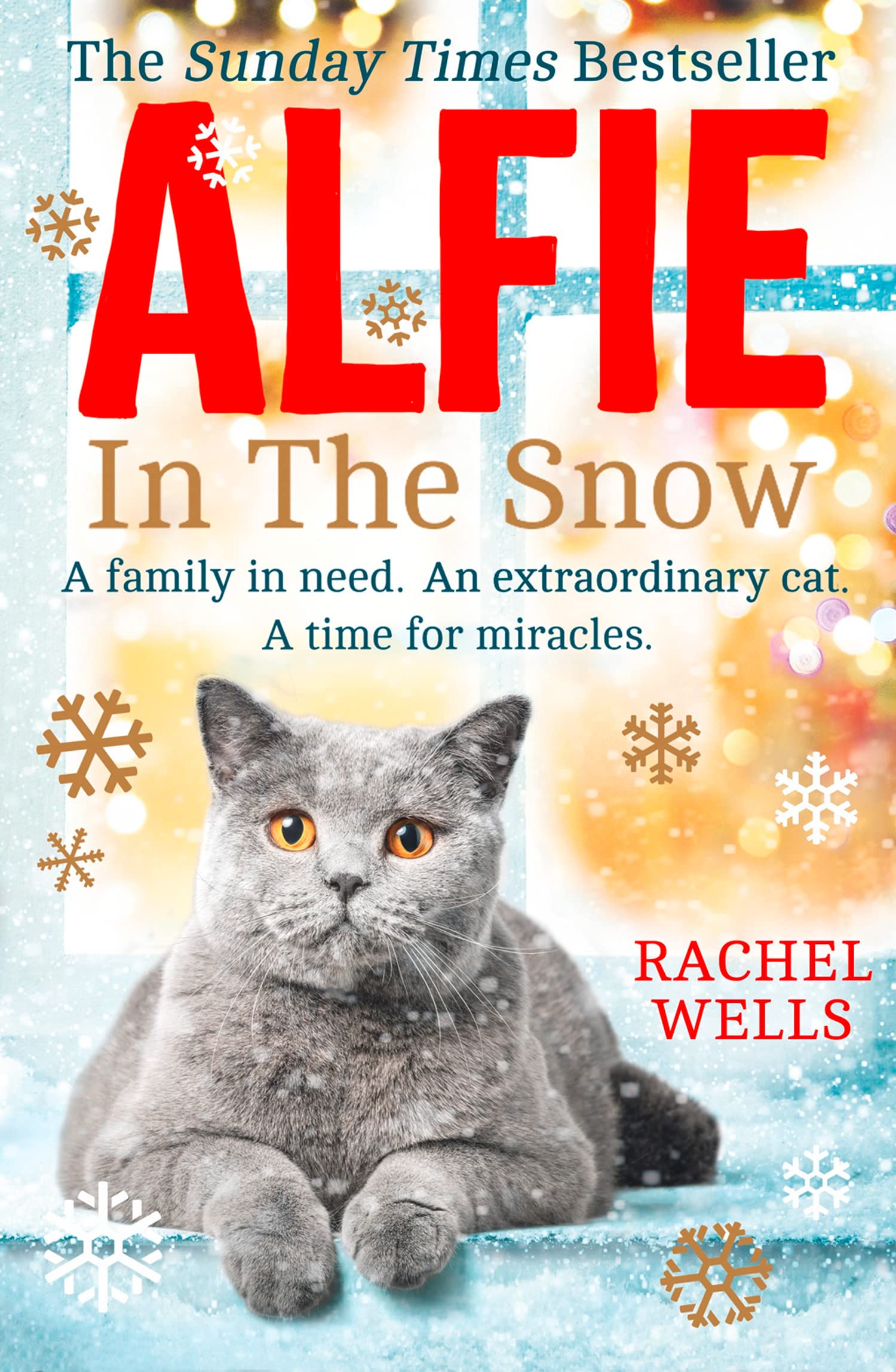 ALFIE IN THE SNOW: A Compelling Tale of Winter Magic: Book 5 (Alfie series)