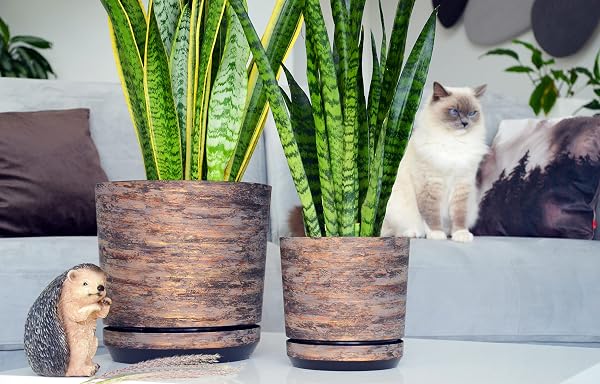 KORAD - Pot de fleurs avec soucoupe intégrée, décor 032, écorce rouille, diamètre 26 cm, pot pour plantes, en plastique, de haute qualité, décoratif avec trous de drainage - 3