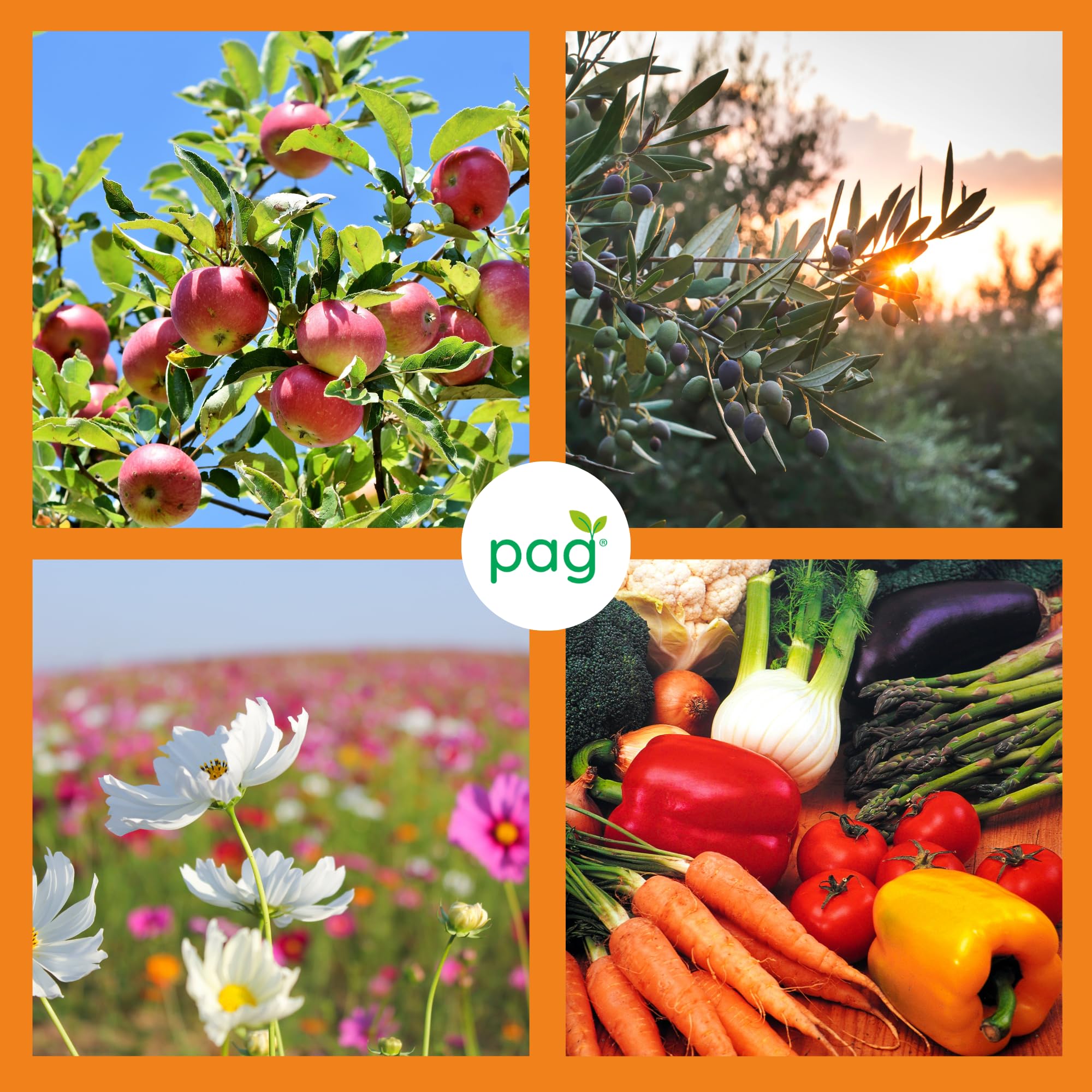 Pag Betapag Borlanda Fluida | Concime Organico Azotato | Consentito in Agricoltura Biologica | Confezione da 30 kg