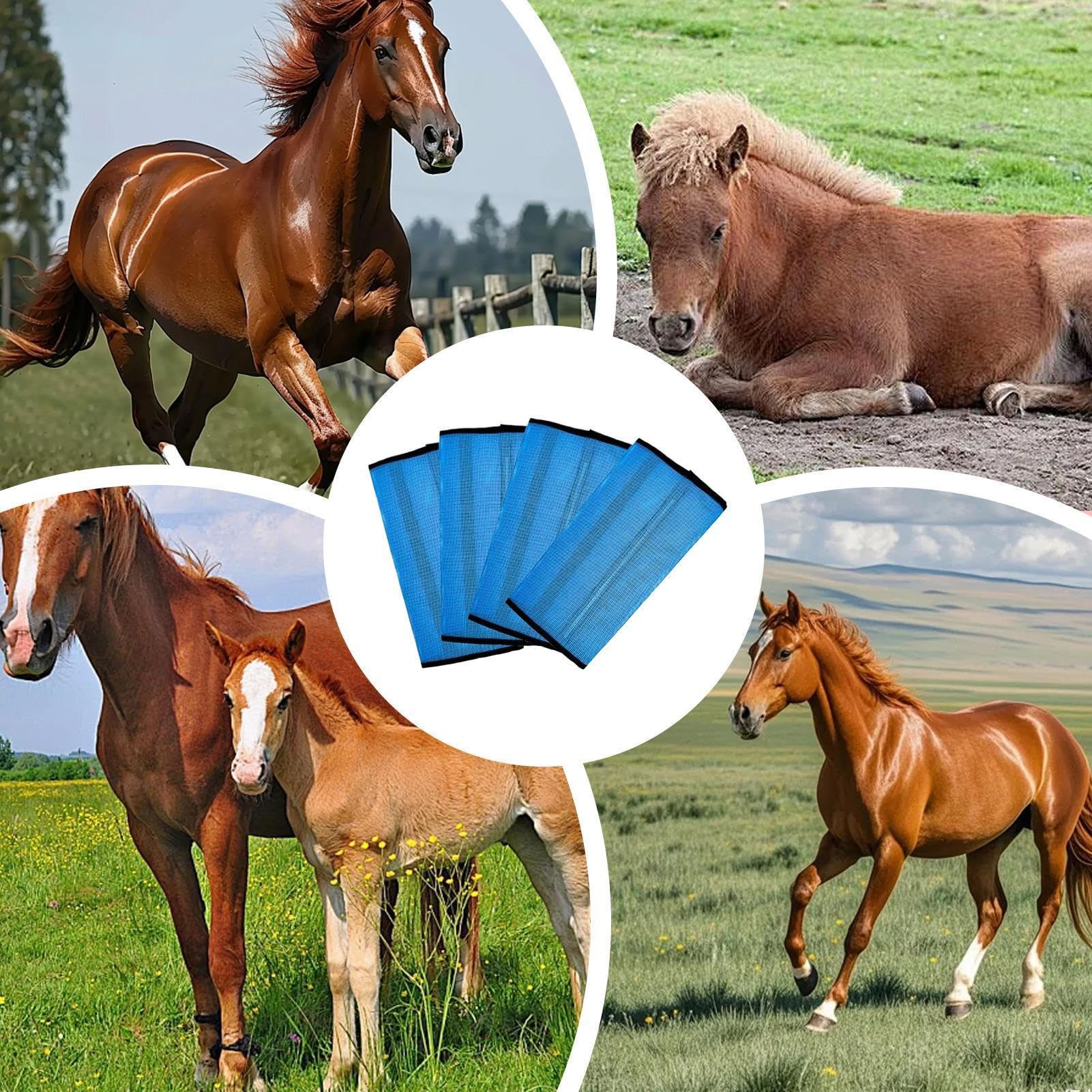 Botas contra moscas para caballos - Leggins de malla fina transpirable de 400 g | Protectores de malla ajustables y transpirables, 4 piezas, para pastos, carreras al aire libre, entrenamiento, competi