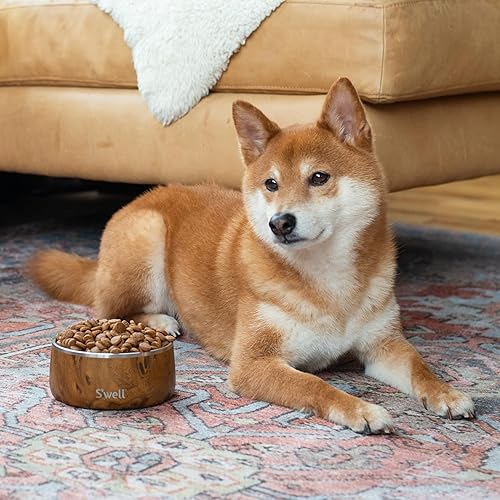 Miniatura 5 de S'well Cuenco de acero inoxidable para perros de tamaño pequeño a mediano, 16 onzas, madera de teca, diseño antideslizante y sin derrames, con parte