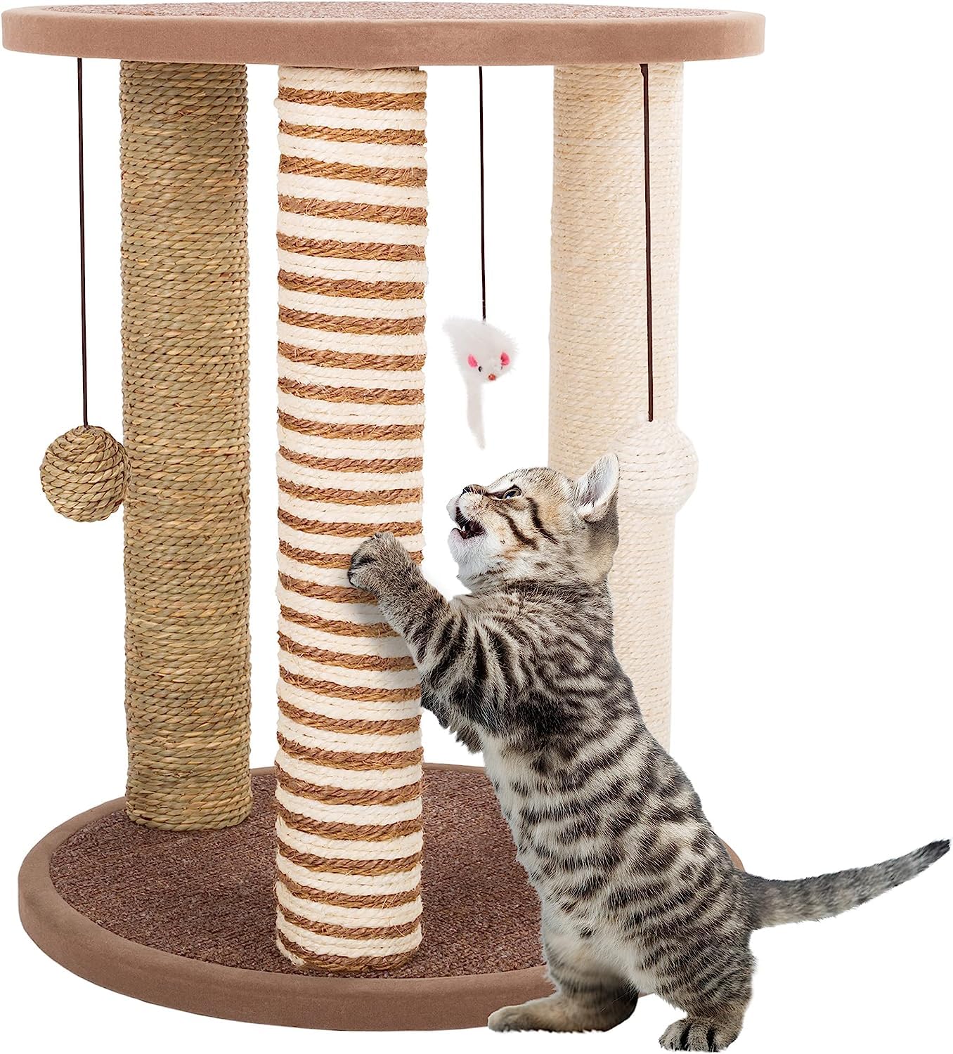 Emily Pets Cat Scratching Post with Sleeping Area for Cats - Sturdy Scratching Post for Cats Small Cats Scratching Furniture Scratching Post with Lounger and Toy Scratching Post for Cat Scratcher Toy (B0CM3T1891) Amazon Price History, Amazon Price Tracker