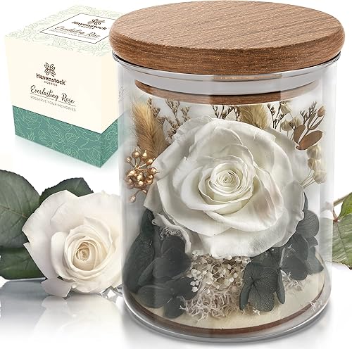 Miniatura 9 de Rosa rosa en una cúpula de cristal  Rosas reales de primera calidad que duran un año o más  Regalos únicos para el día de la madre para sus rosas