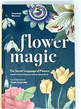 CLASSIC FLOWER アートブック CLASSIC FLOWER アートブック