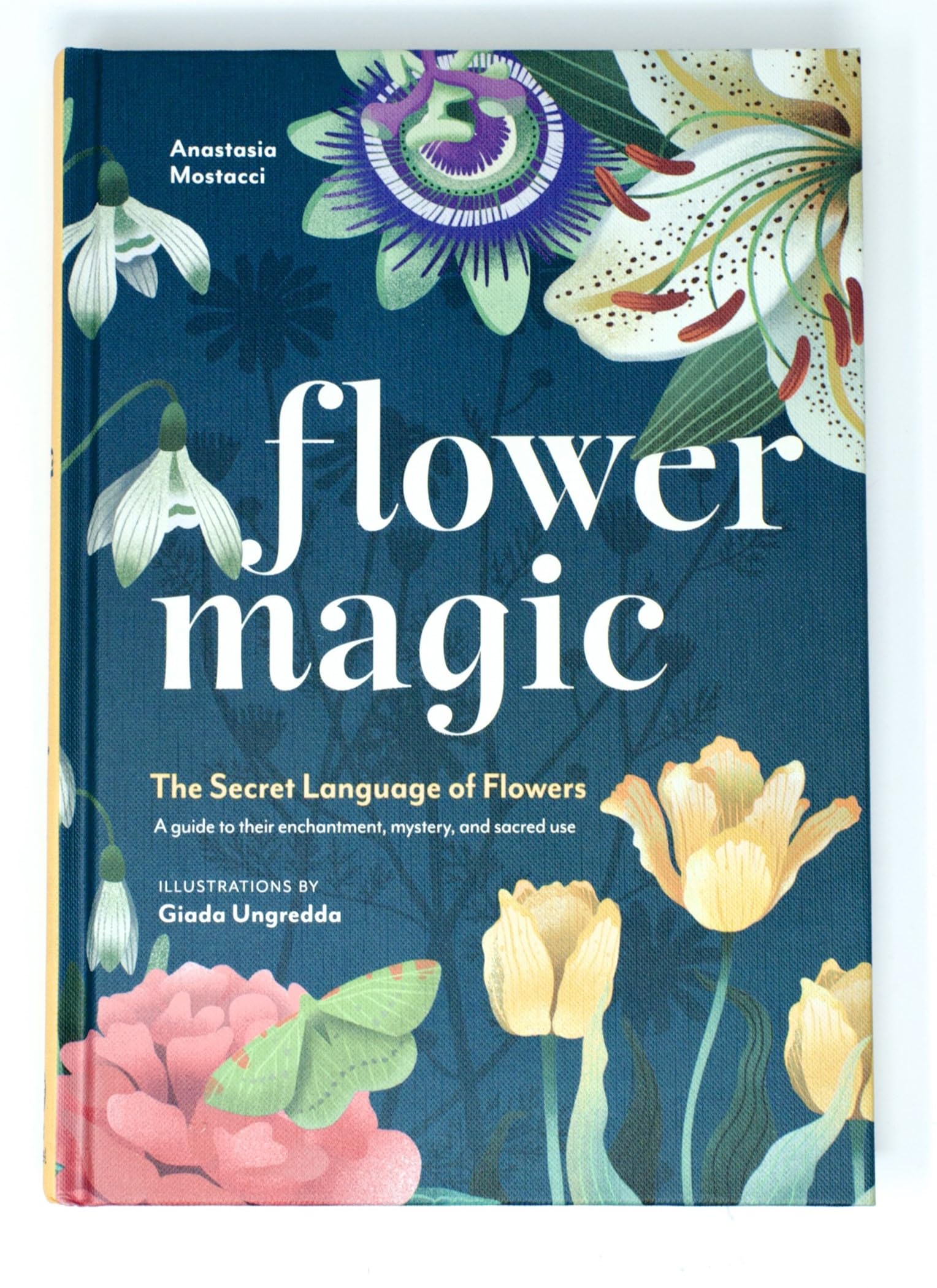 Flower Magic by Anastasia Mostacci HARDBACK 9781590035733