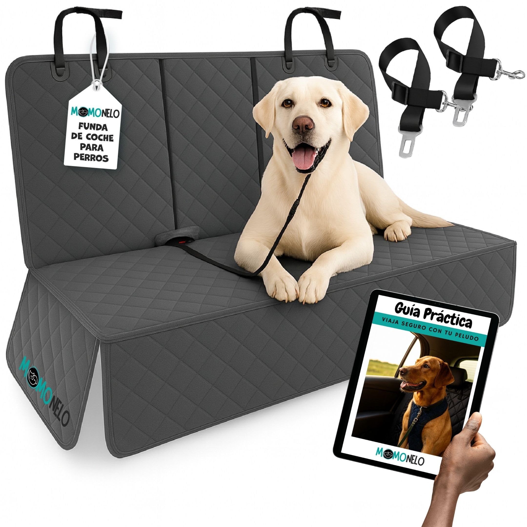 Grey Dog Car Cover + 2 Safety Belts | Protector Car Dogs Back Seat | Waterproof, Anti-Scratch, Non-Slip and Washable | Universal Use | Ideal for Travel (Grey Cover)