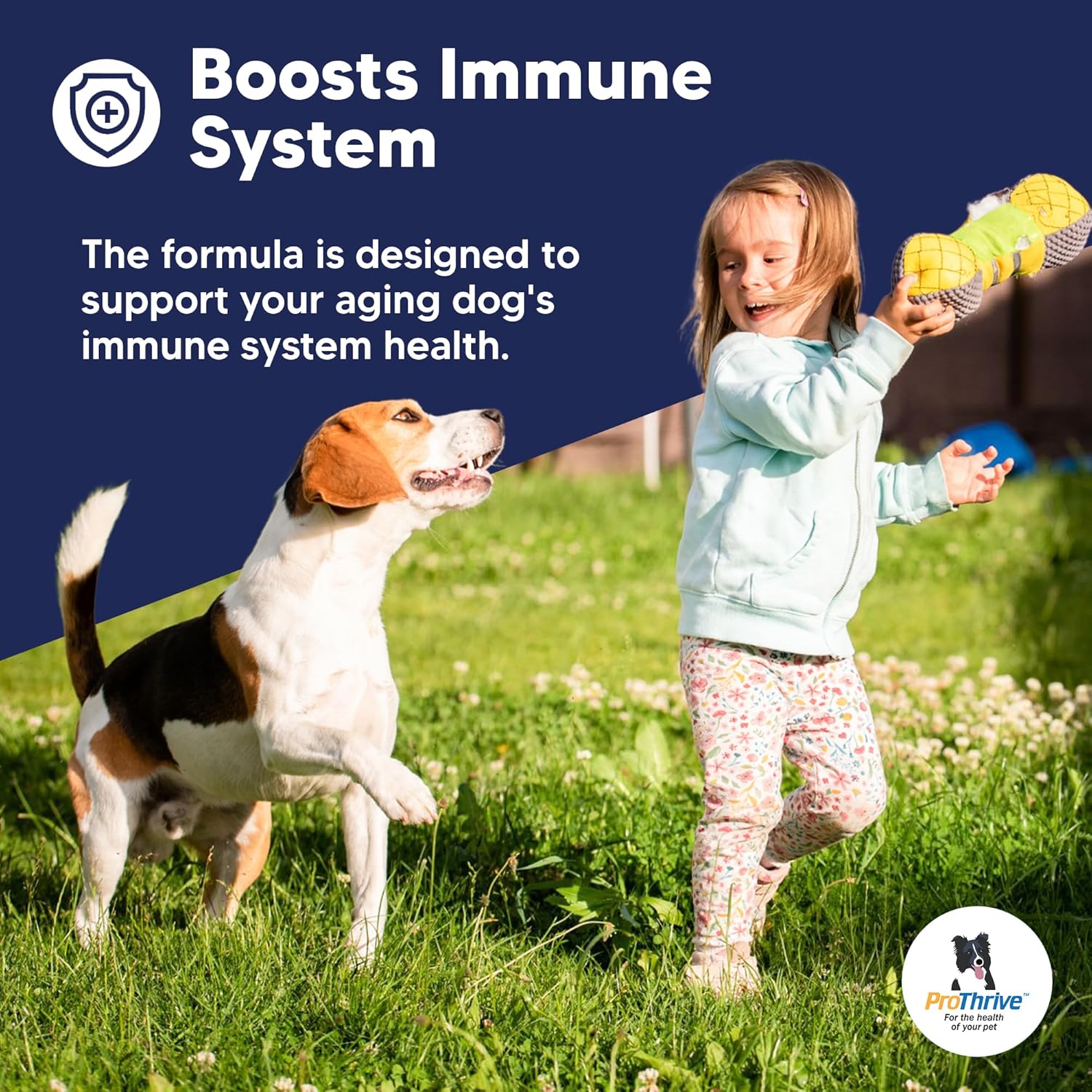 ProThrive Senior Dog Digestive & Joint Supplement - Supports Healthy Digestion, Immune System, and Joint Comfort for Aging Dogs, Advanced Relief 3.75 Lb