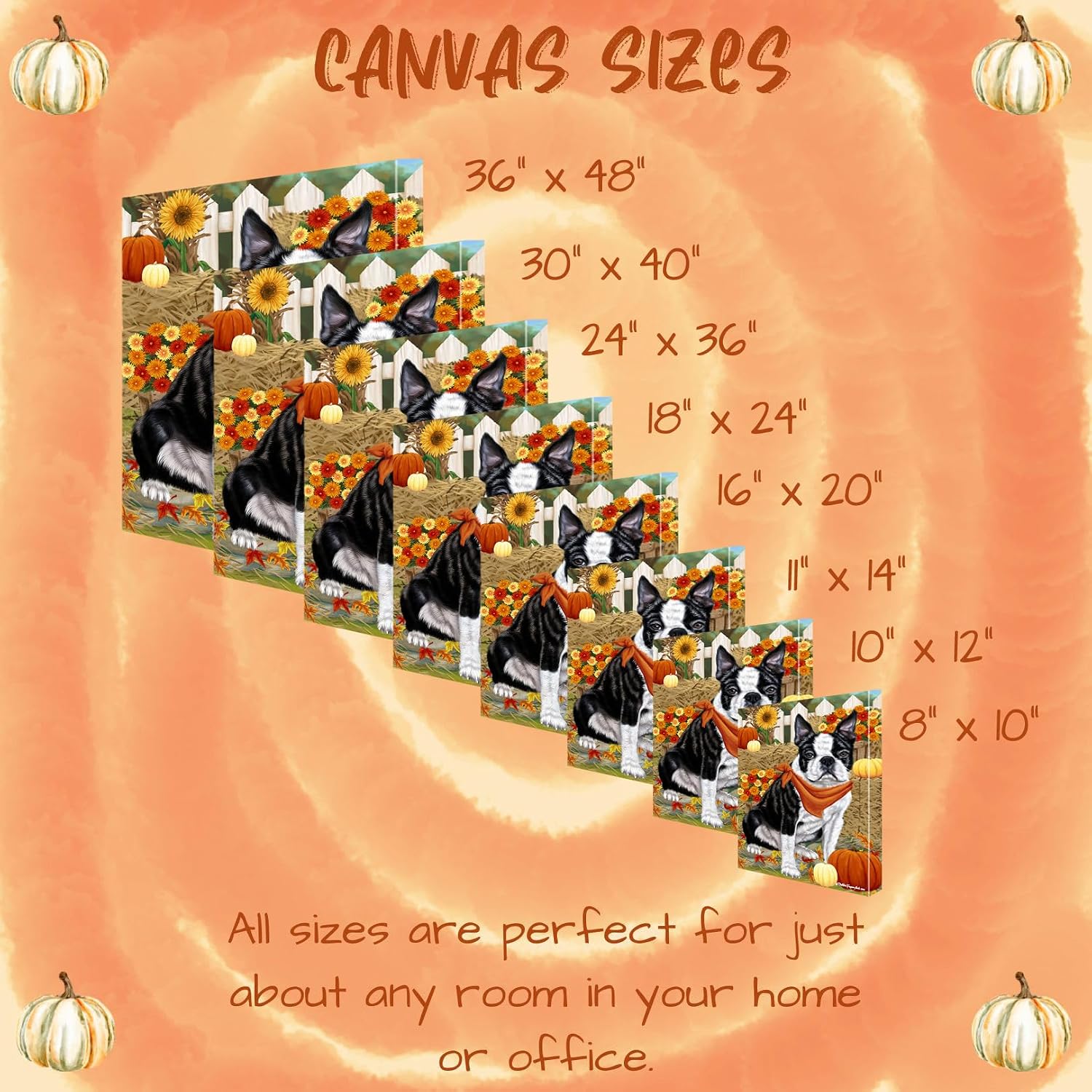 Fall Greeting with Boston Terrier Dogs Canvas Wall Art - Premium Quality Ready to Hang Room Decor - White Floating Framed 24" x 24"