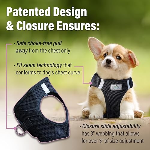 Vista 246 de DOGGIE DESIGN American River - Arnés para perro de la colección ombré, color frambuesa (S (circunferencia de 13 a 16 pulgadas)