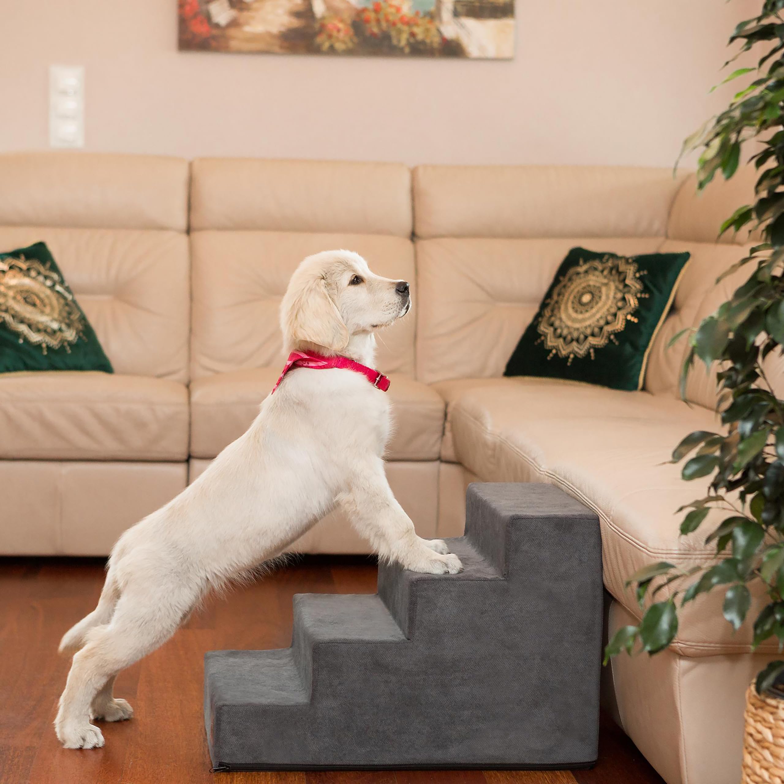 Scaletta Per Cani 4 Gradini Beige Savoy – 40x60x40 Cm, Struttura Morbida E Resistente, In Poliuretano E Poliestere Oeko-Tex, Per Animali Anziani O Con Difficoltà Motorie