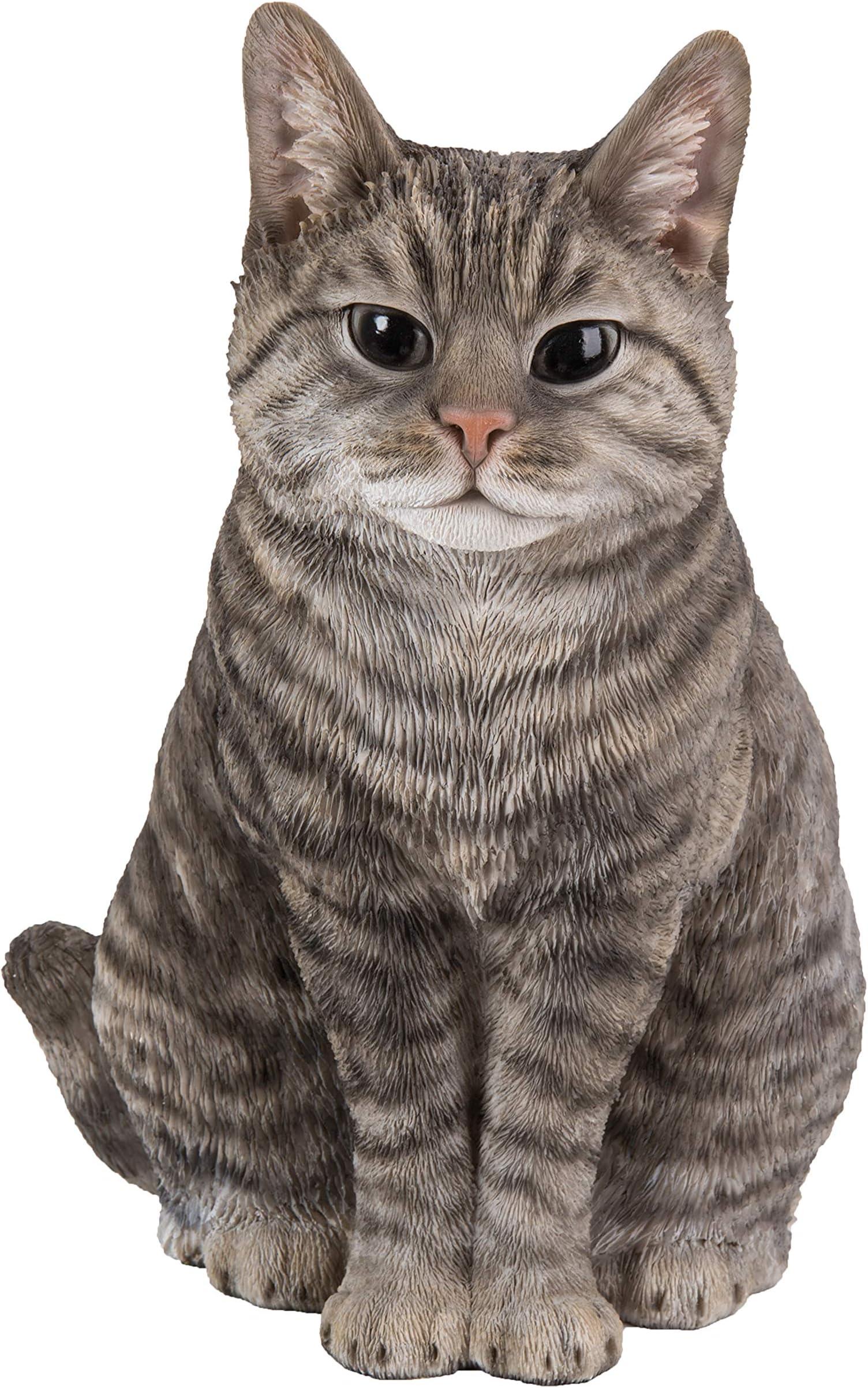Real Life Sitting Cat Tabby by Vivid Arts