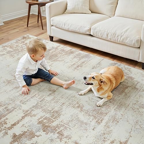 Vista 3 de Area Rug Living Room Rugs: 3x5 Indoor Soft Fluffy Rug Abstract Carpet for Bedroom Kitchen Dining Room Floor Washable Plush Throw Small Accent Rug